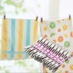 Stainless Steel Cloth Hanging Clip –