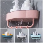 Wall Mounted Shelf hook Organizer