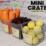Plastic Pack of 4 Multi Purpose Mini Crate Storage