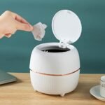Dustbin & Desktop