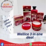 WELLICE  3 IN 1 DEAL