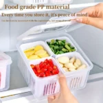 4 In 1 Vegetable & Fruit Draining Box