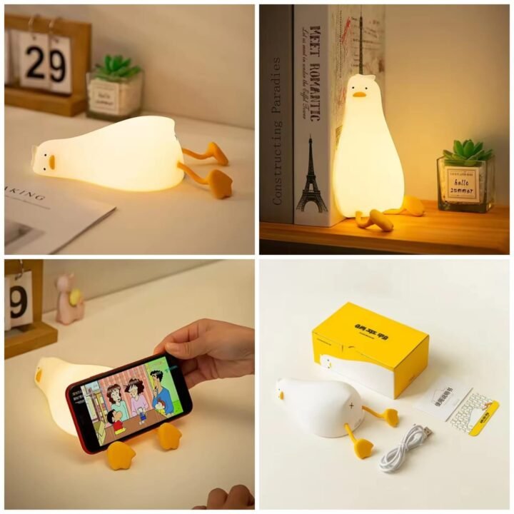 Duck Character Lamp   (Box Packing)