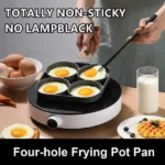 Nonstick Four  Portion Frying Pan