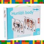 Human Body Puzzel Cards 12pc Set
