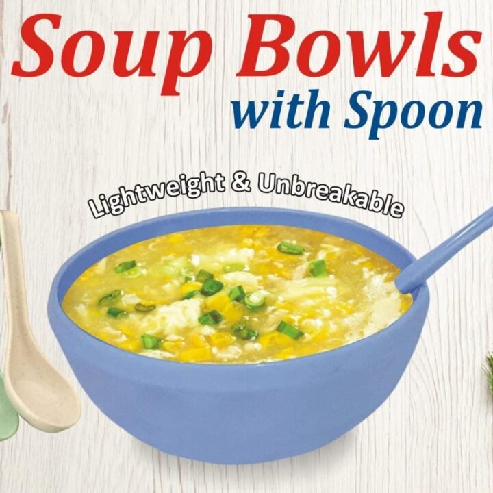 4 Pcs bowls & Spoon Set  Soup Bowl with Spoon  (Random Colours)