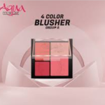 Aqua Color Line 4 Color Blusher Kit