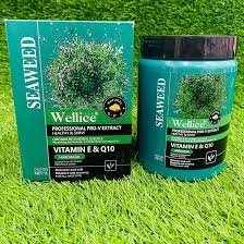 Wellice Seaweed Pro-v Extract Healthy & Shiny Vitamin-E & Q10 Hair Mask