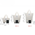 Expandable Travel Bag with Wheels  (Random Colours)