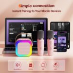 Portable Wireless Speaker With 1 Mic
