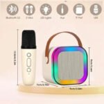Portable Wireless Speaker With 1 Mic