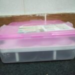 Egg Box 32 Grid Large